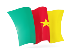 cameroon waving flags
