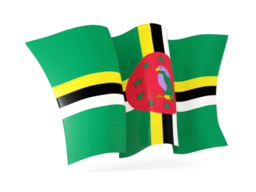 dominica waving flag 256
