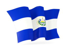 el salvador waving flags