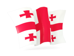 georgia waving flags