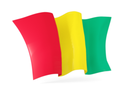 guinea waving flags
