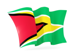 guyana waving flags