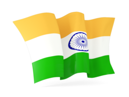 india waving flags