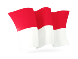 indonesia waving flags