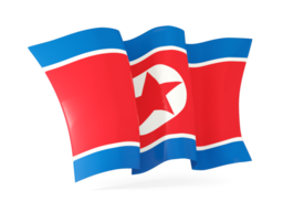 korea north waving flags