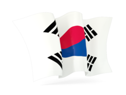 korea south waving flag 256