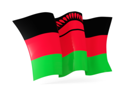 malawi waving flags