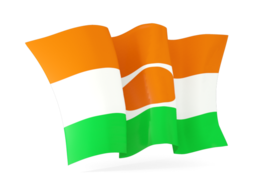 niger waving flags