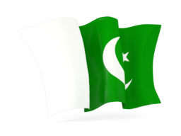 pakistan waving flags