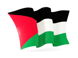 palestinian territory waving flags
