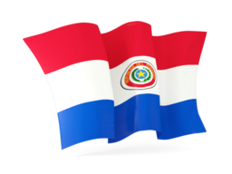 paraguay waving flags