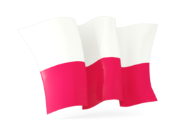 poland waving flags