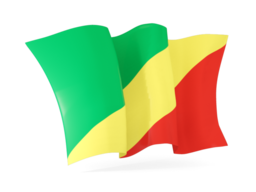 republic of the congo waving flags