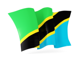 tanzania waving flags