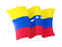 venezuela waving flags