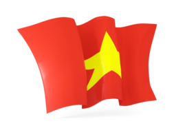 vietnam waving flags