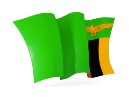 zambia waving flags