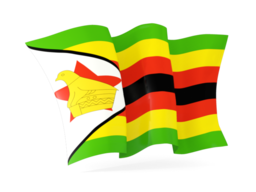 zimbabwe waving flags